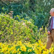 'Your design should provide a floral display that will last from May to September 2023 and reflect King Charles’ love of gardening and the environment'